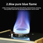 ins cassette furnace