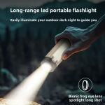 shamrock camping light