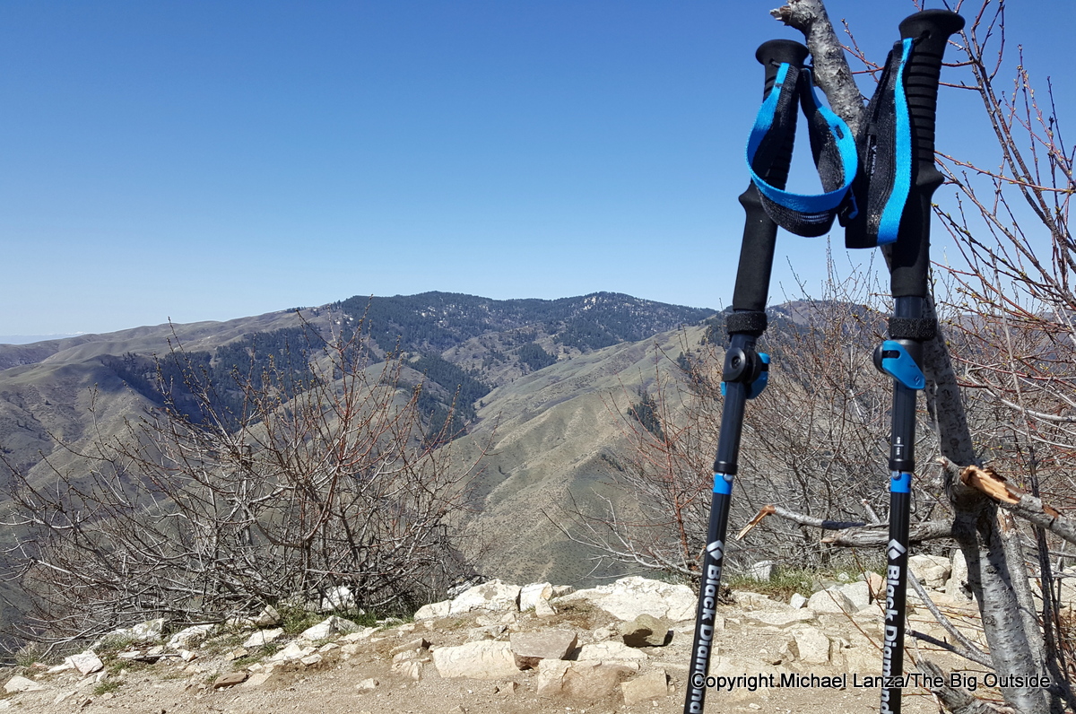 are carbon running poles worth it exploring the benefits and considerations 689c858157891 Are Carbon Running Poles Worth It? - Exploring the Benefits and Considerations