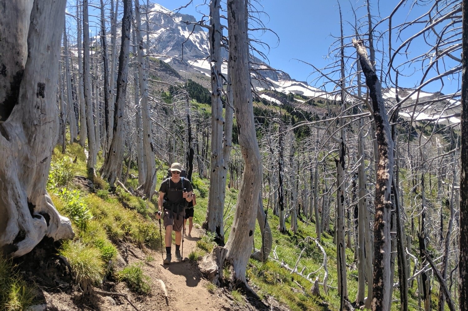 discovering the true essence of trekking what is the point of trekking 689c5b2ce64b5 Discovering the True Essence of Trekking - What is the Point of Trekking?