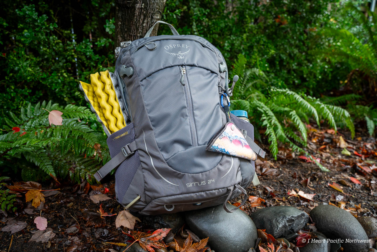 discovering the wilderness what are the 10 essential gears in hiking for every adventurer 689d57c5d5bd0.jpg