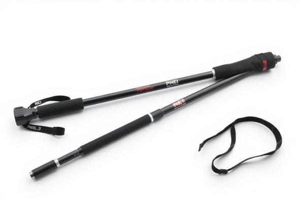 REI Swiftland TT Carbon trail running poles