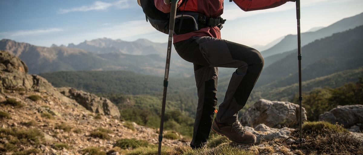 the ultimate guide to choosing the best trekking poles find out what type of trekking poles are best for your adventure 689d5714d698c.jpg