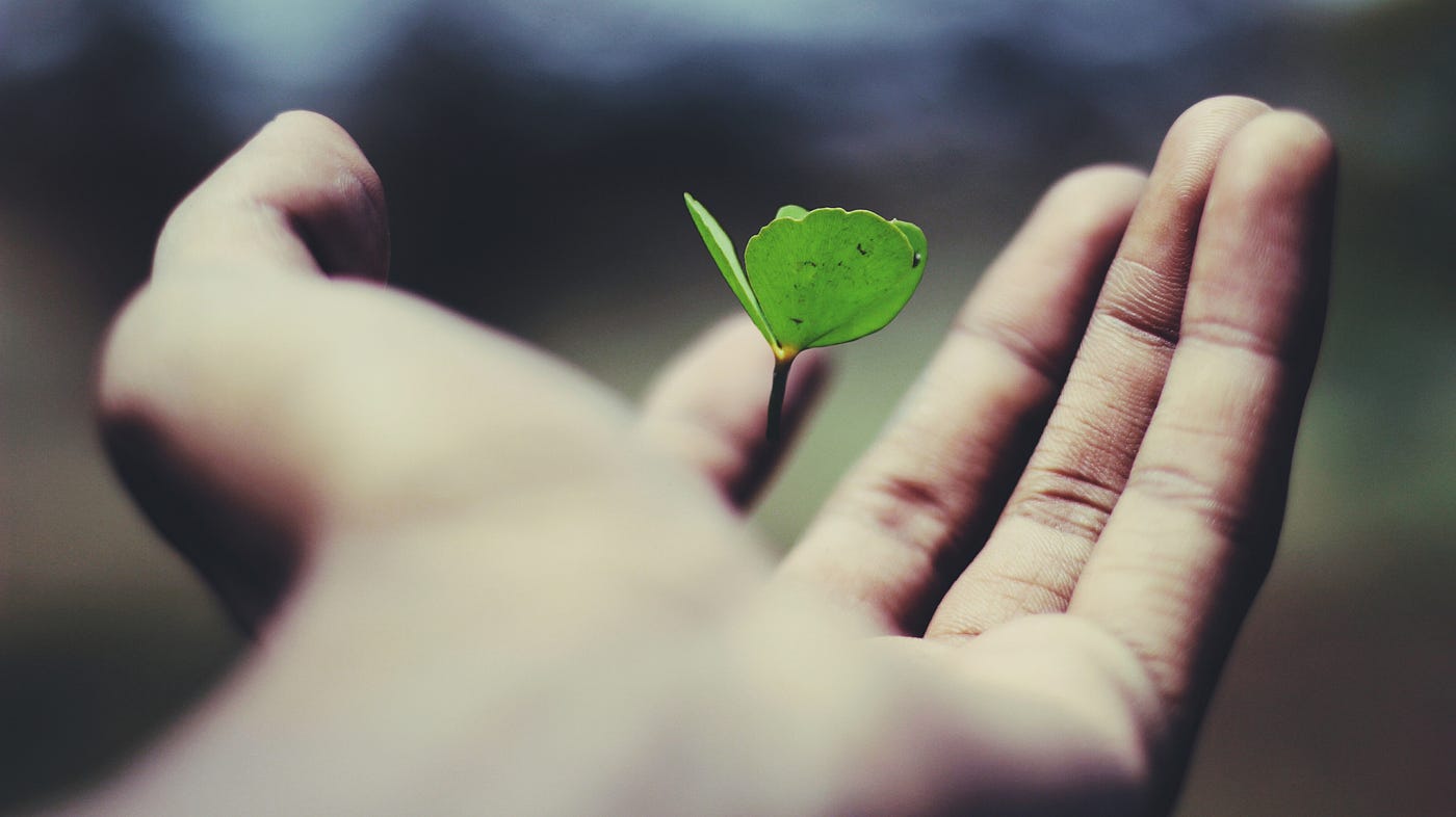 unlocking life s essentials what are the 10 things everyone needs for happiness and success 689d54fa21791.jpeg