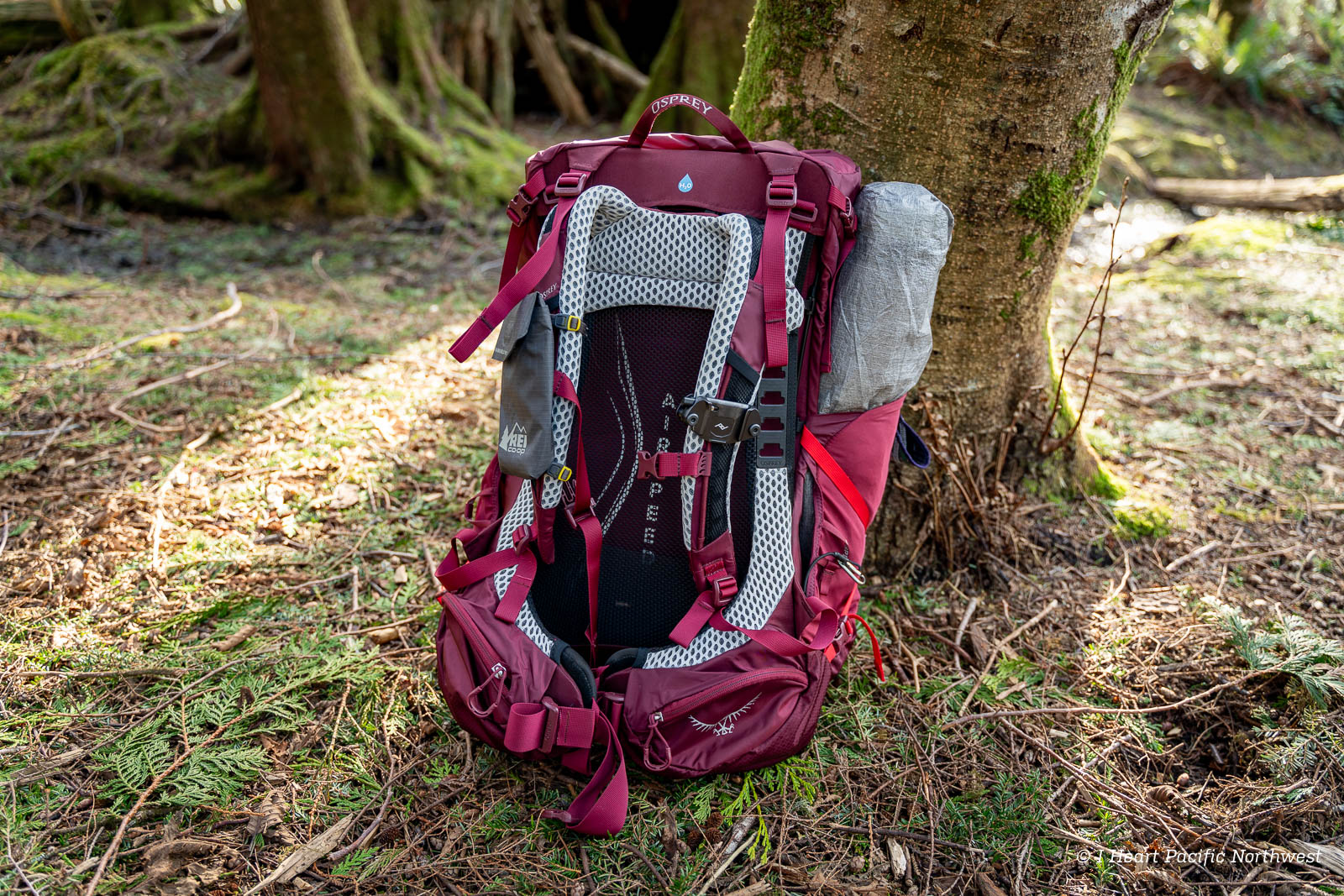 what are backpacking essentials packing for your adventure 689c84b8b3b28 What are Backpacking Essentials? - Packing for Your Adventure