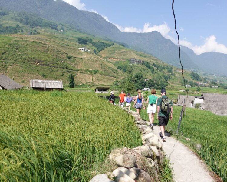what equipment do i need for trekking essential gear guide for adventurers 689c87e4d9df4.jpeg