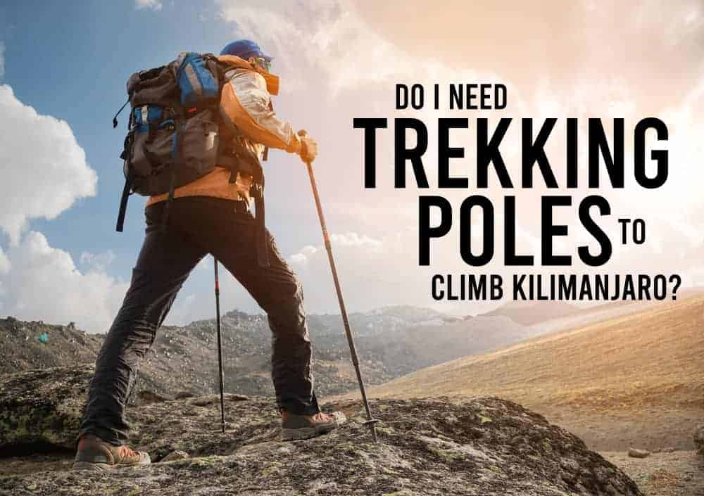 what is the best material for trekking poles discovering durable lightweight choices for your hiking adventures 689d574d9e0ab.jpg