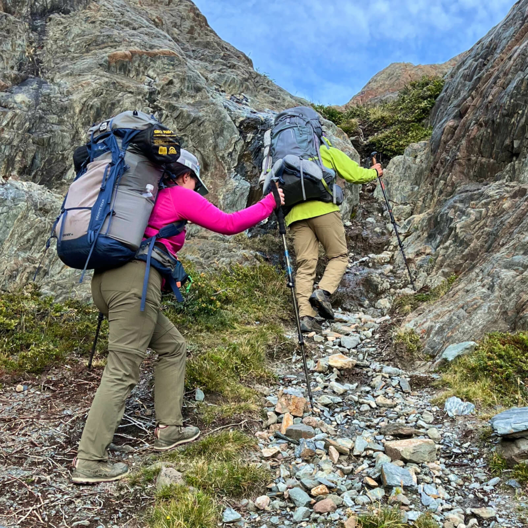 what is the difference between cheap and expensive trekking poles a complete guide to choosing the right gear for your adventure 689d5793c5b5a.jpg