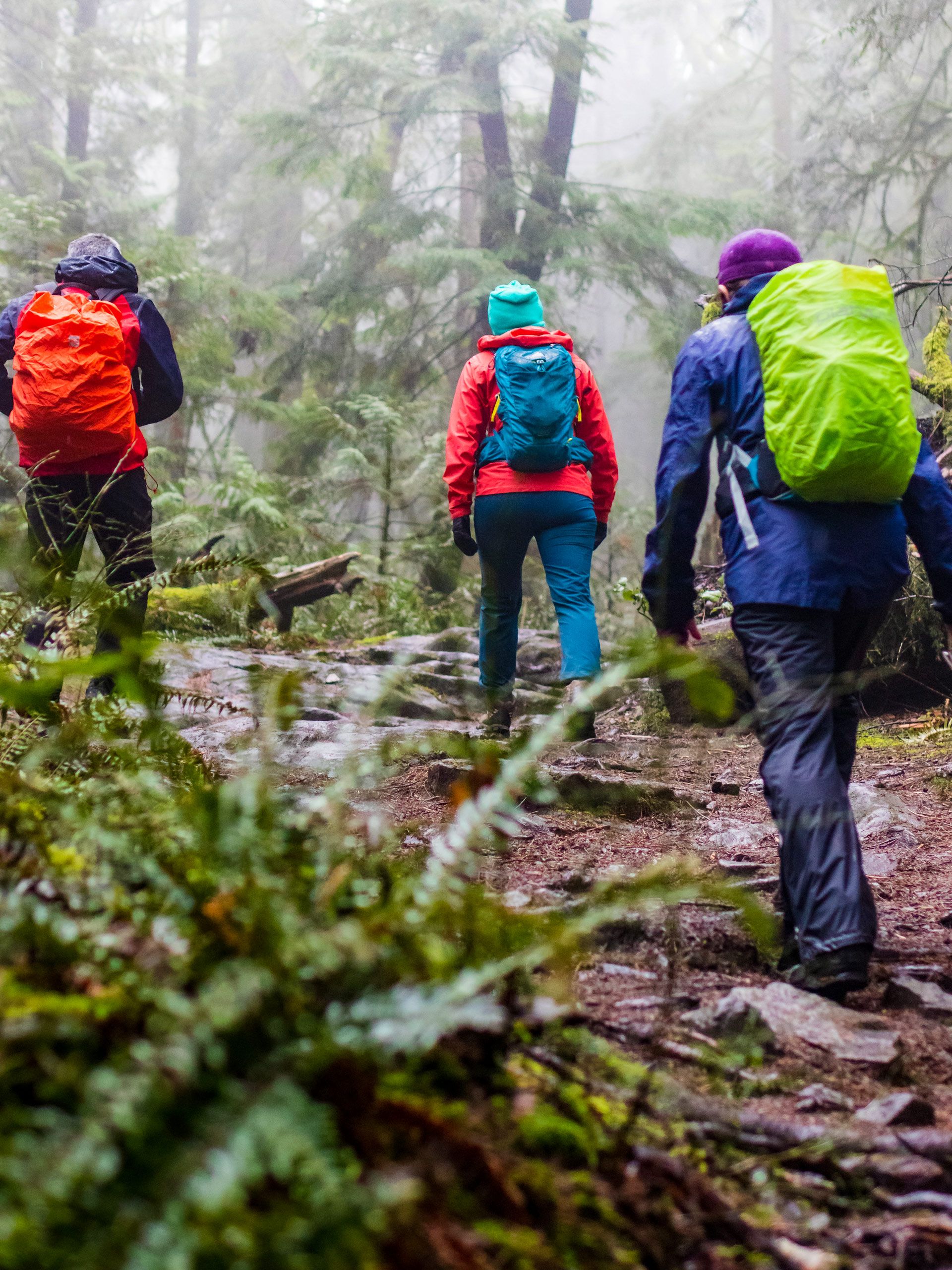 Hiking vs Trekking: Key Differences Explained