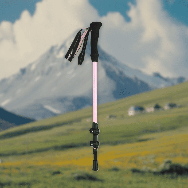 3k Pink 1