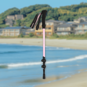 3k Pink 13