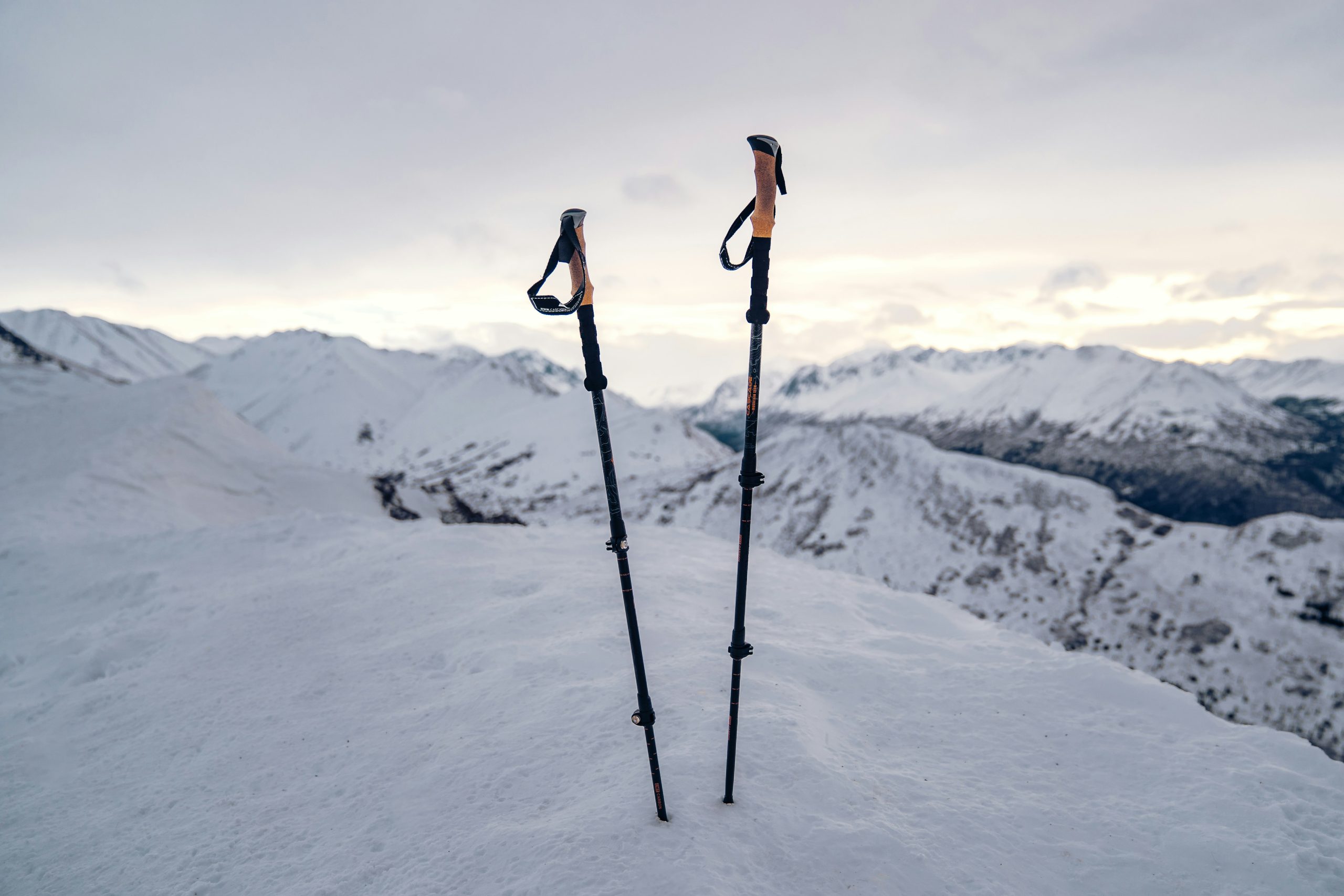 Carbon Trekking Poles vs Ski Poles: Key Differences Explained