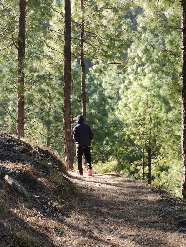 Carbon vs Aluminum Poles for Trail Running: Weight, Strength & Feel Carbon vs Aluminum Poles for Trail Running: Weight, Strength & Feel