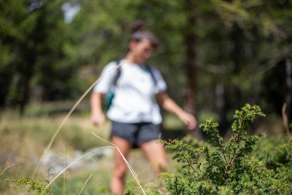 Carbon vs Aluminum Poles for Trail Running: Weight, Strength & Feel Carbon vs Aluminum Poles for Trail Running: Weight, Strength & Feel