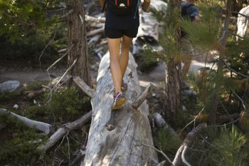 Carbon vs Aluminum Poles for Trail Running: Weight, Strength & Feel