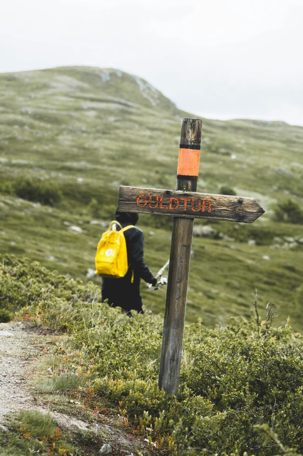Do You Really Need Carbon Trekking Poles? Pros, Cons & When to Use Do You Really Need Carbon Trekking Poles? Pros, Cons & When to Use