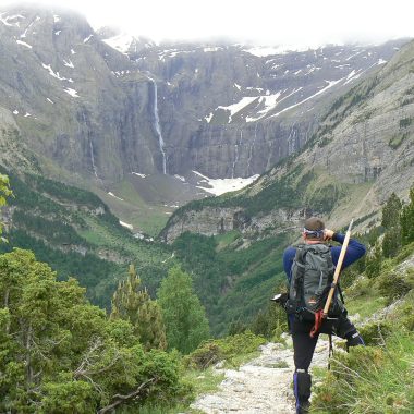 Carbon Fiber vs Aluminum Trekking Poles: Ultimate Guide