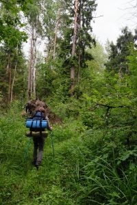 Are Expensive Carbon Trekking Poles Better?