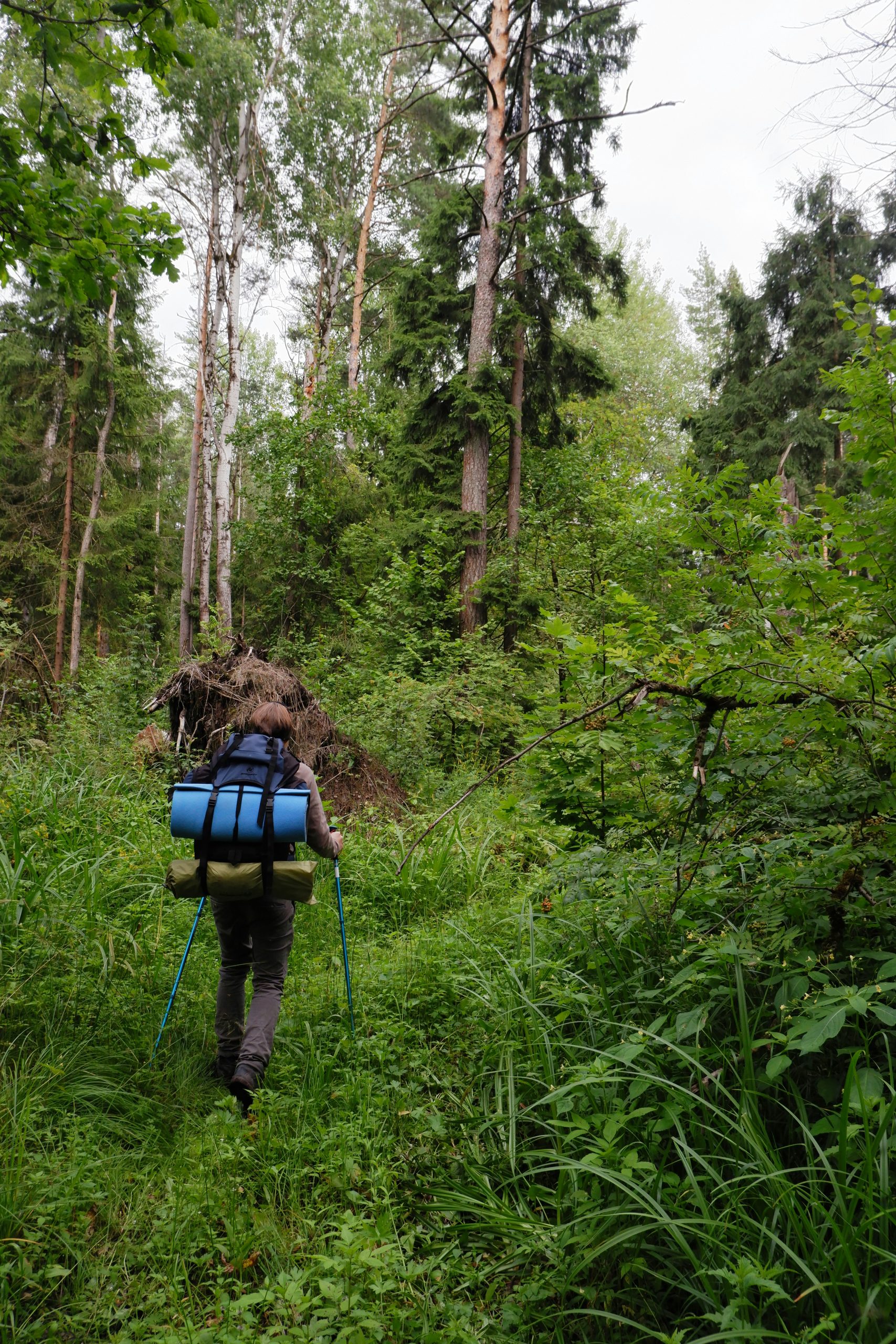 Are Expensive Carbon Trekking Poles Better?