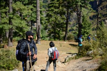 Are carbon fiber trekking poles worth it?