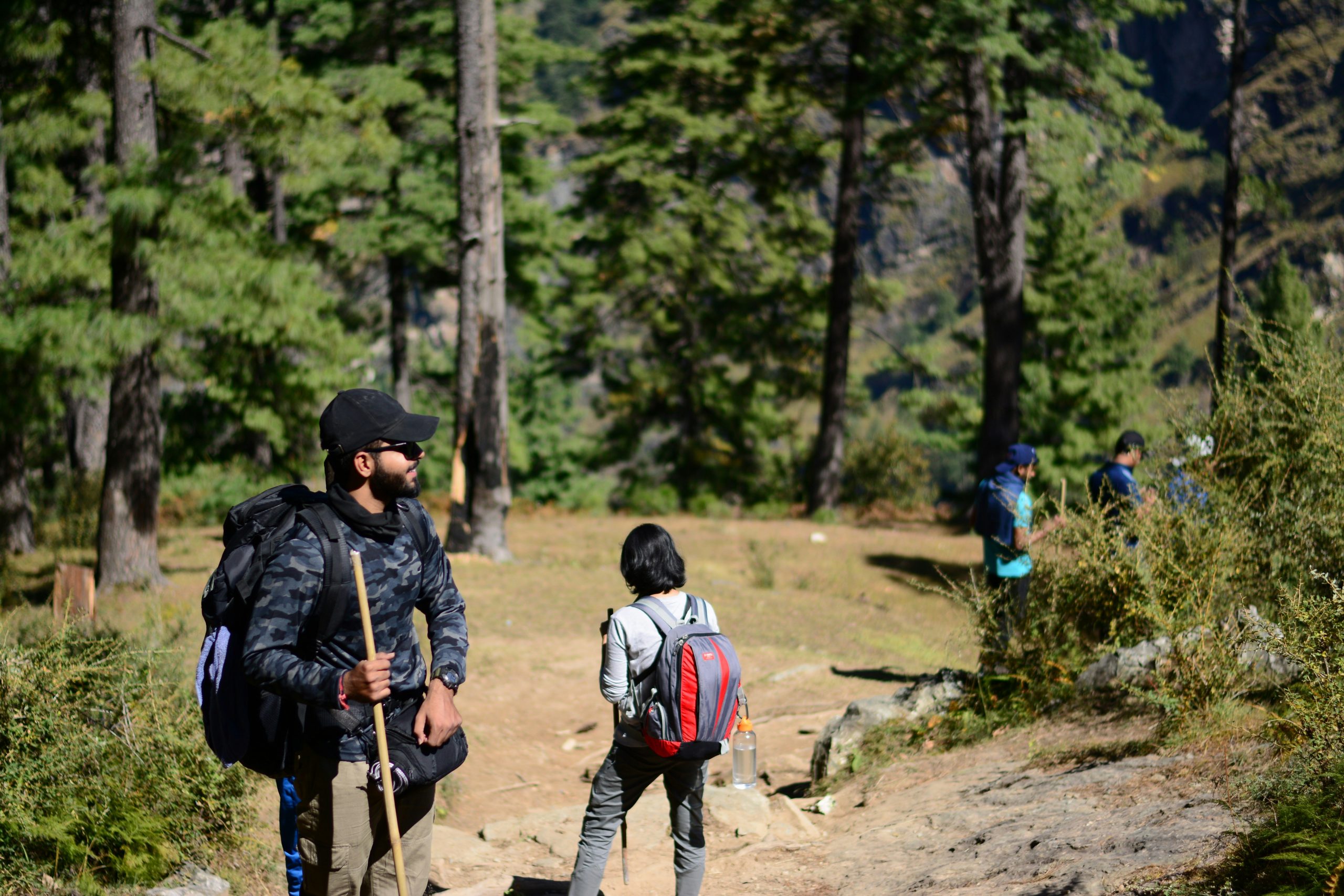 Are carbon fiber trekking poles worth it?