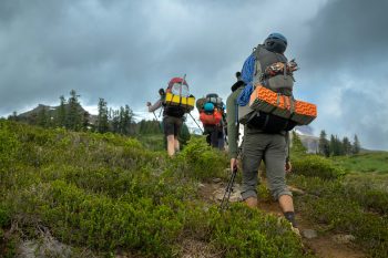Carbon Trekking Poles Under 50: Reviews and Buying Guide