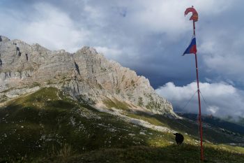 Discover What is the best material for trekking poles?