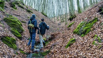 Easy Guide on How to Clean Carbon Trekking Poles
