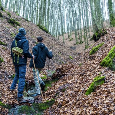 Cheap vs Expensive: Are fiber trekking poles worth the extra cash?