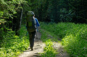 Fixed Length Carbon Trekking Poles for Hiking & Backpacking
