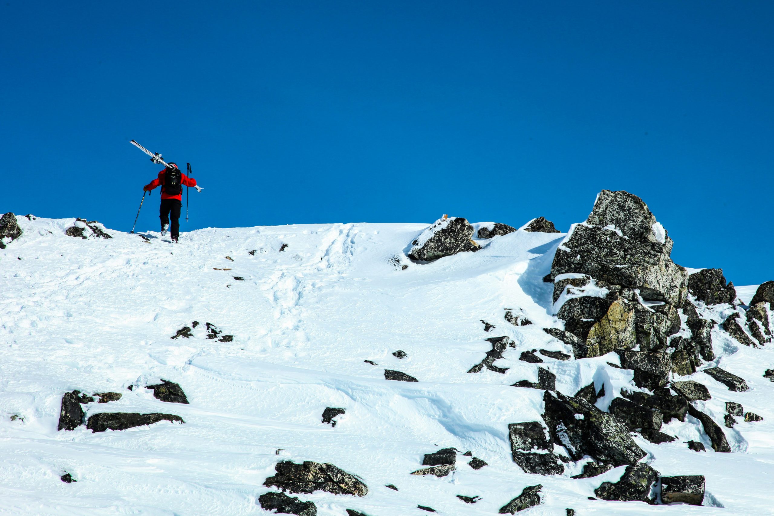 How to choose the best trekking poles?