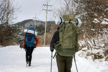 Shop Carbon Trekking Poles Sale - Durable & Lightweight Options