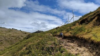 Telescoping Carbon Hiking Poles: Durable & Adjustable Trekking Poles